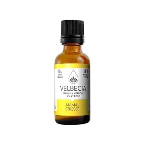 Velbecia thumbnail