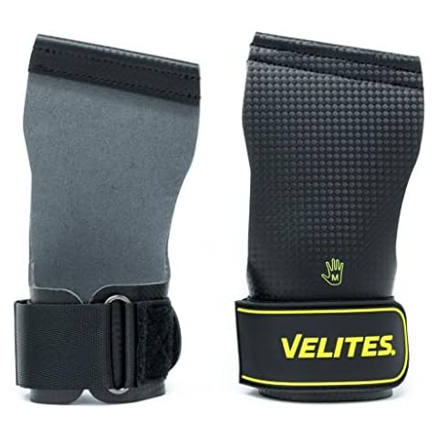 Velites thumbnail