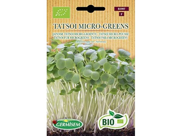 Verduras de exterior Miniatura