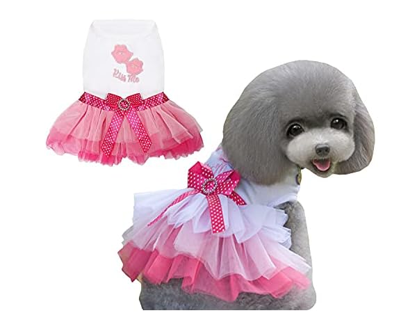 Vestidos para perros Miniatura