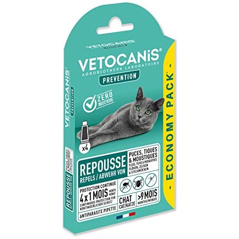 Vetocanis thumbnail