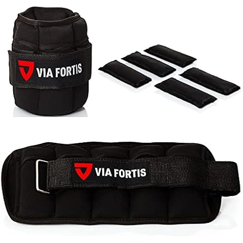 VIA FORTIS thumbnail
