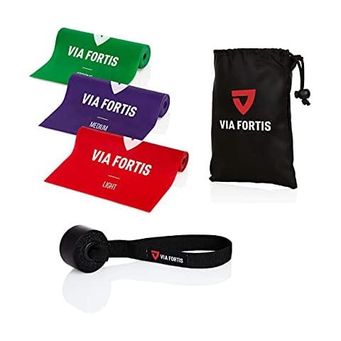 VIA FORTIS thumbnail
