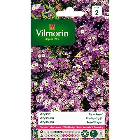Vilmorin thumbnail