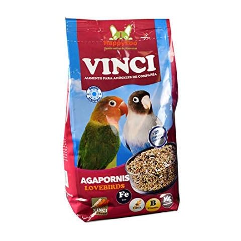 Vinci thumbnail