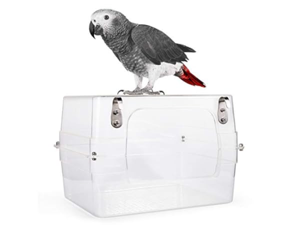 Vogelbäder Vorschaubild