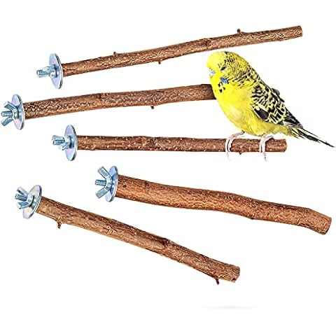 Vogelgaleria thumbnail