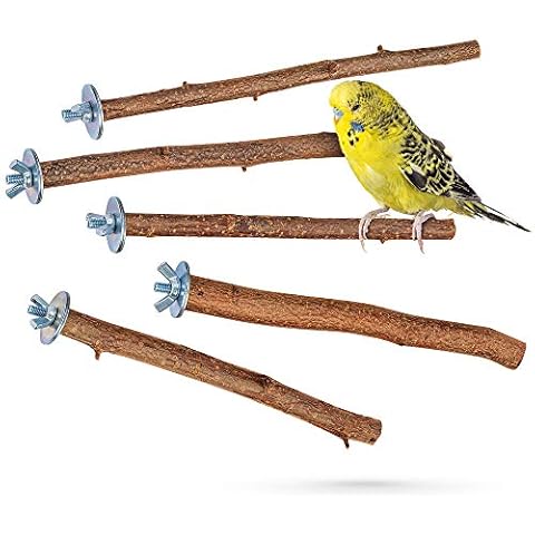 Vogelgaleria thumbnail