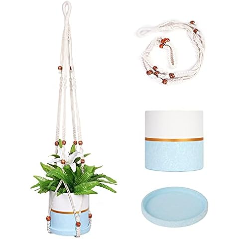 Wandering Nature thumbnail