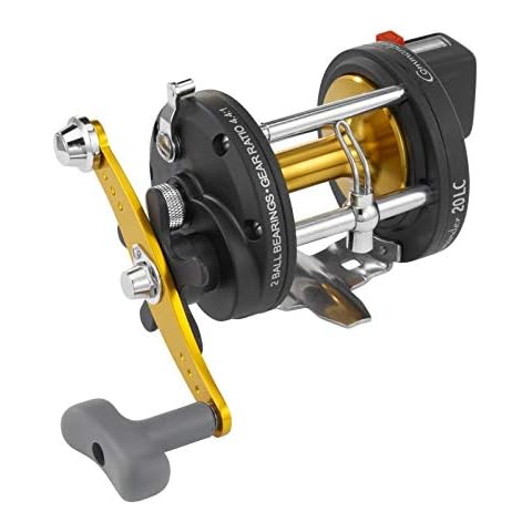 WFT Multirollen