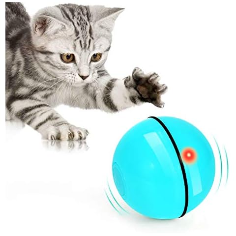 WWVVPET thumbnail