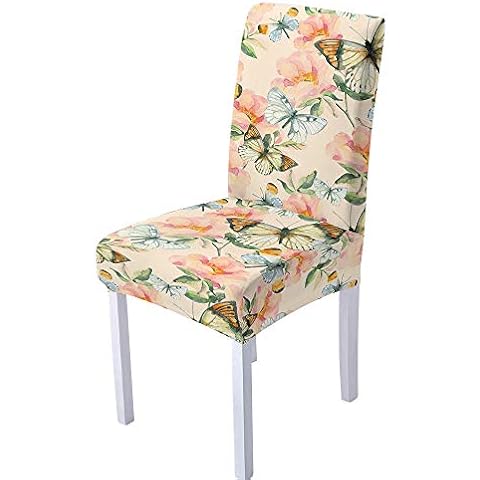 XIAOBAOZI ZS thumbnail