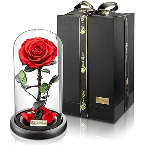 YourRoses - Ziegler&Ribant thumbnail