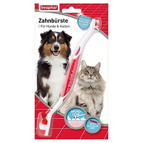 Zahnbürsten für Hunde