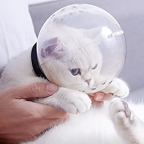 ZHOUBA thumbnail