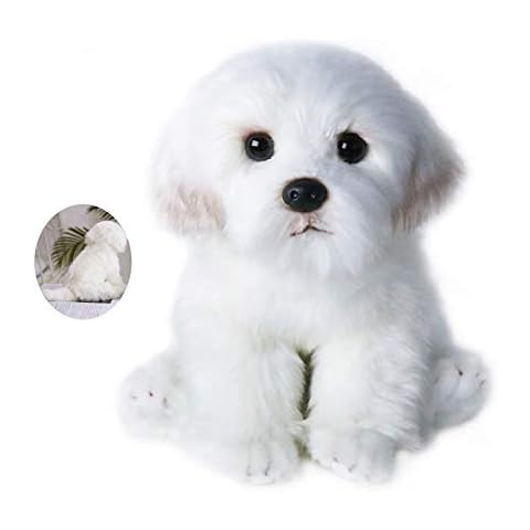 ZXIAQI thumbnail